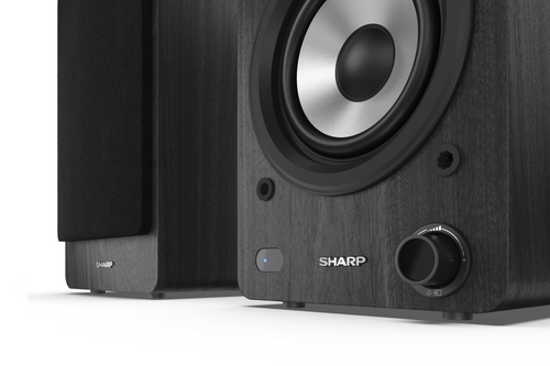 Sharp CP-SS30 Bookshelf Speakers - Black