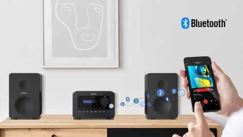 Sharp TOKYO DAB+ HI-FI Micro System Home audio micro system 40 W Black