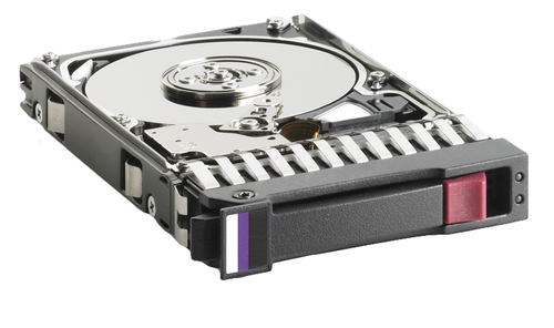 EVA 600GB 15K FIBRE HDD