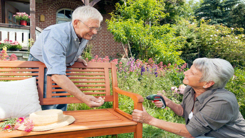 Bosch IXO 215 RPM Black, Green, Red