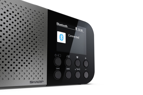 Sharp DR-P520 Personal Digital Grey