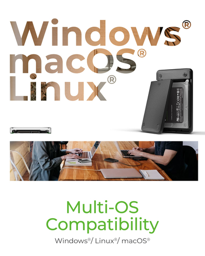 ICY BOX IB-201T-CU31 SSD enclosure Black 2.5"