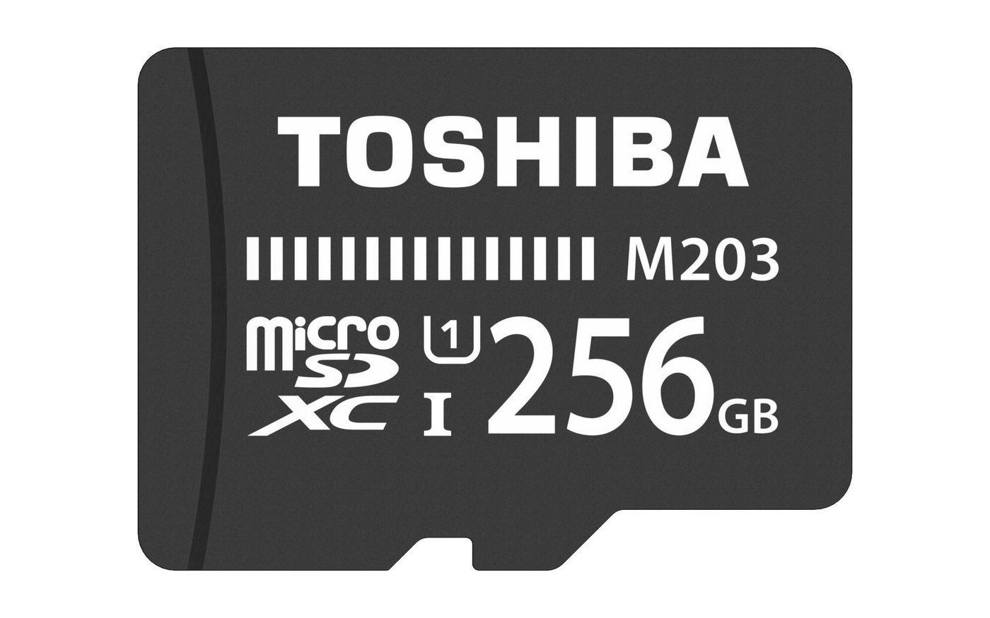 256 GB - MicroSDXC - Class 10 