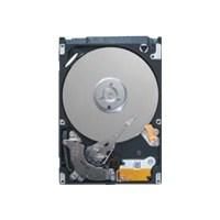 250Gb  SATA 2.5" HD Mini 5400