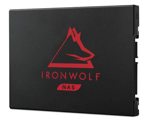 IRONWOLF 125 SSD 250GB RETAIL