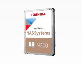 N300 NAS 3.5" 6000 GB Serial 