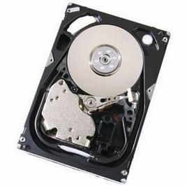 300GB 3.5TH FC 15K RPM HDD