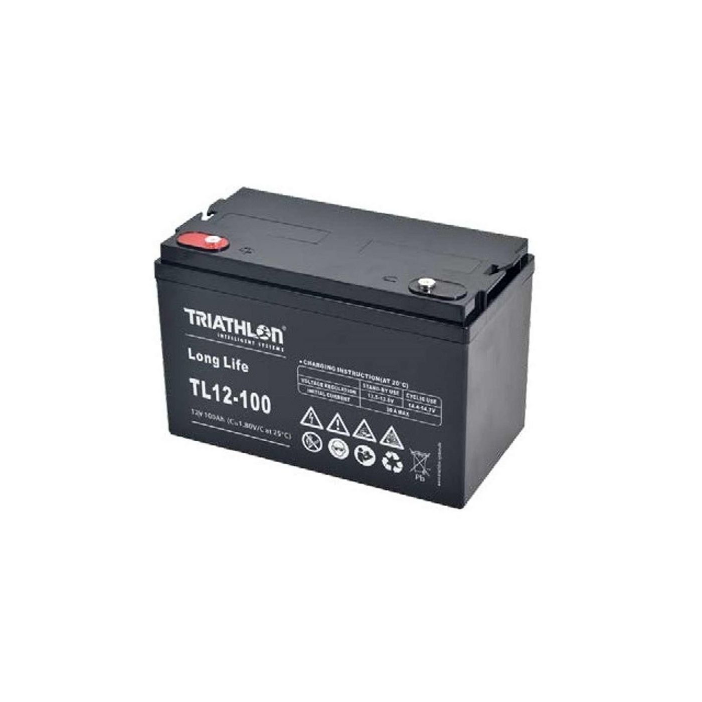 AGM Battery - TL12-100 