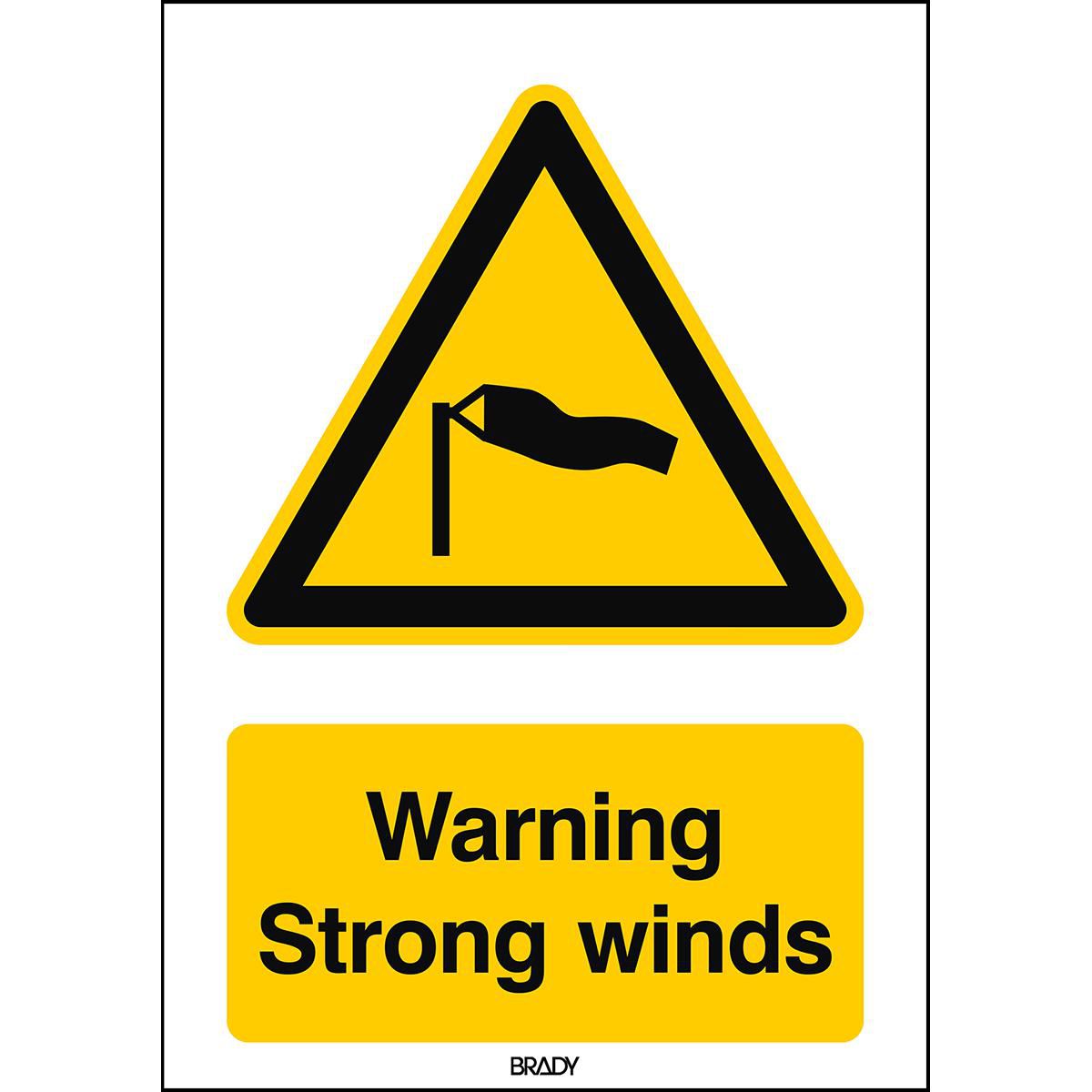 ISO Safety Sign - Warning 