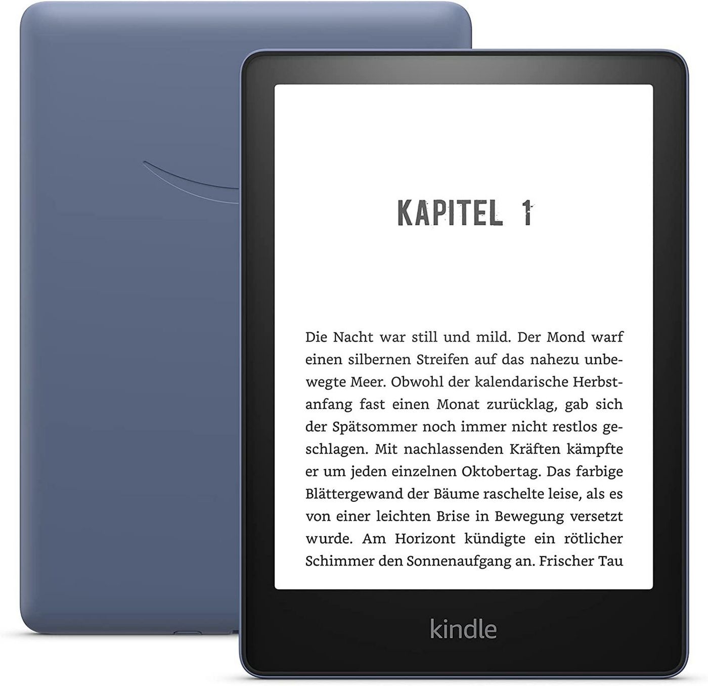Kindle Paperwhite E-Book 