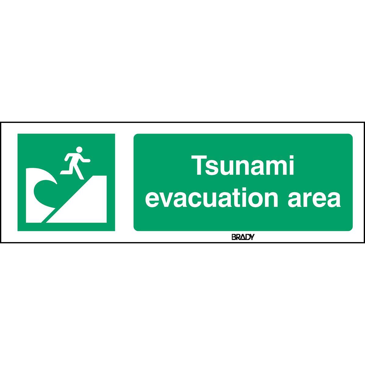 ISO Safety Sign - Tsunami 