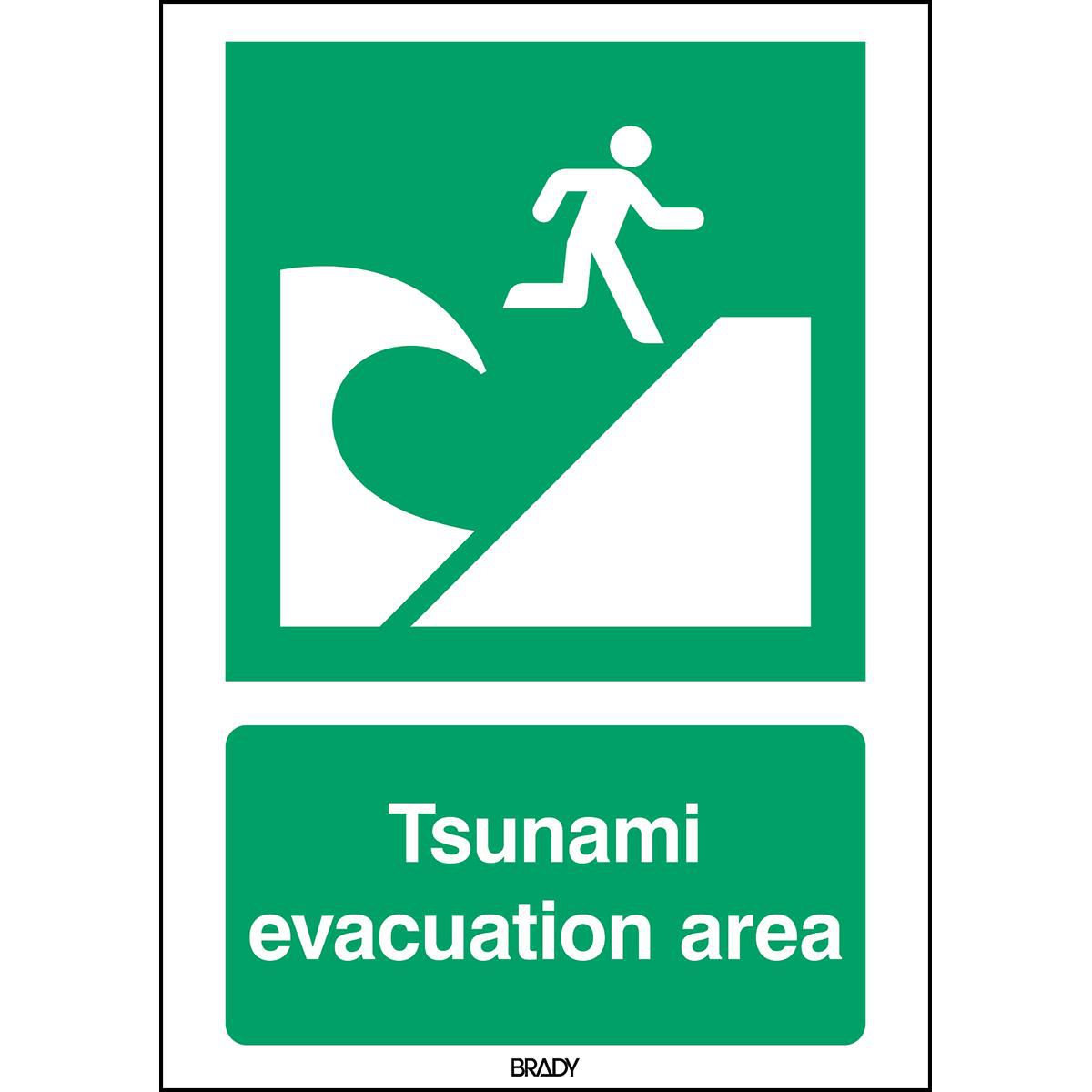 ISO Safety Sign - Tsunami 