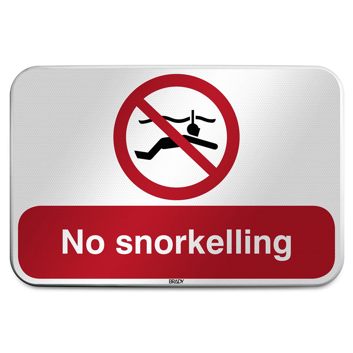 ISO Safety Sign - No 