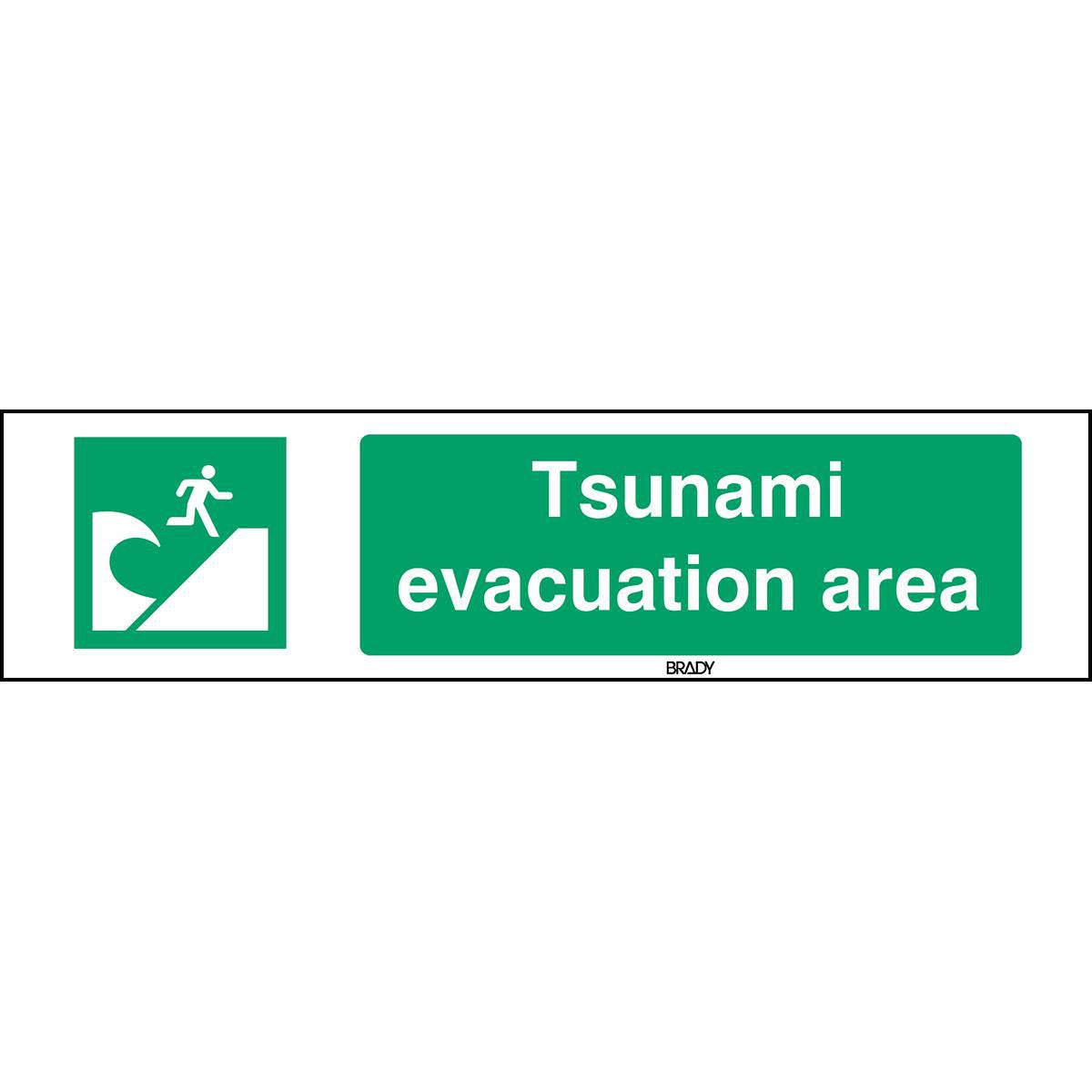 ISO Safety Sign - Tsunami 
