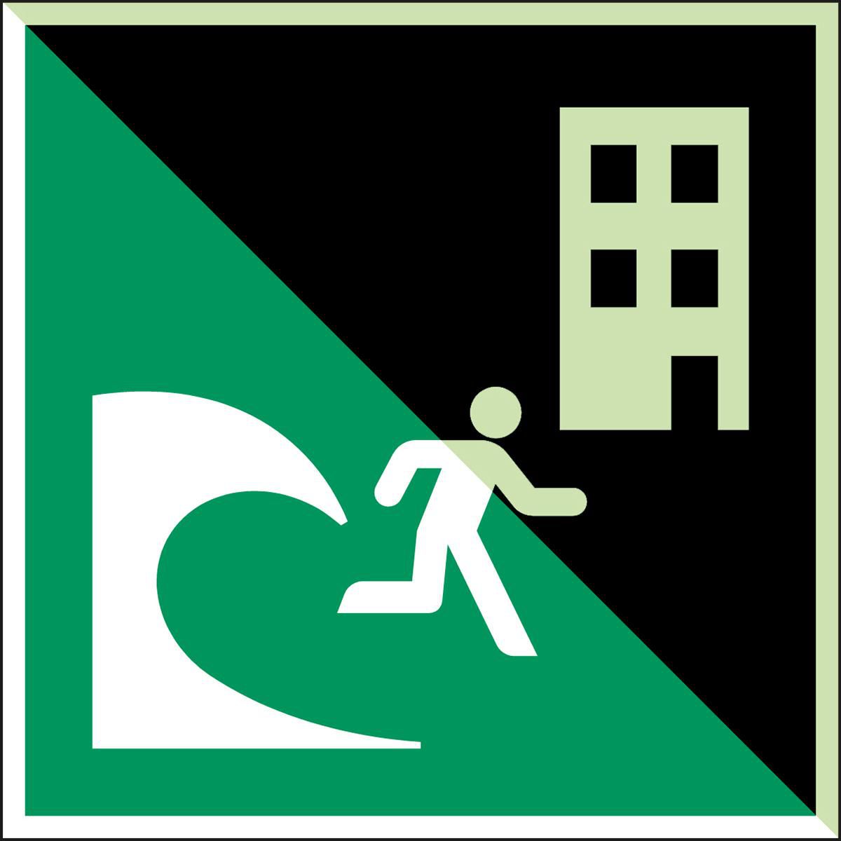 ISO Safety Sign - Tsunami 