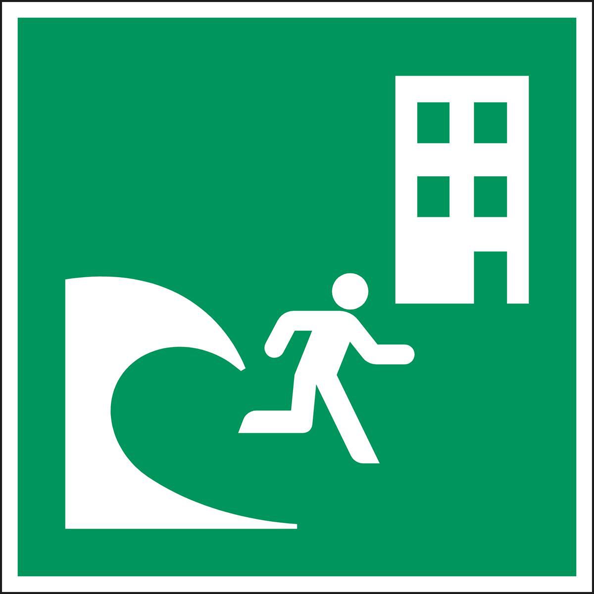 ISO Safety Sign - Tsunami 