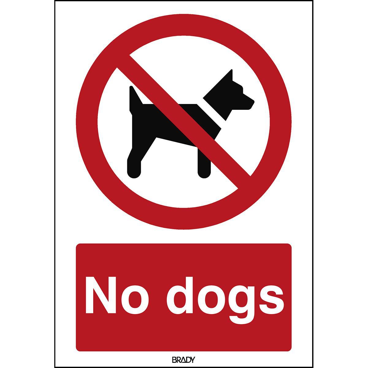 ISO Safety Sign - No dogs