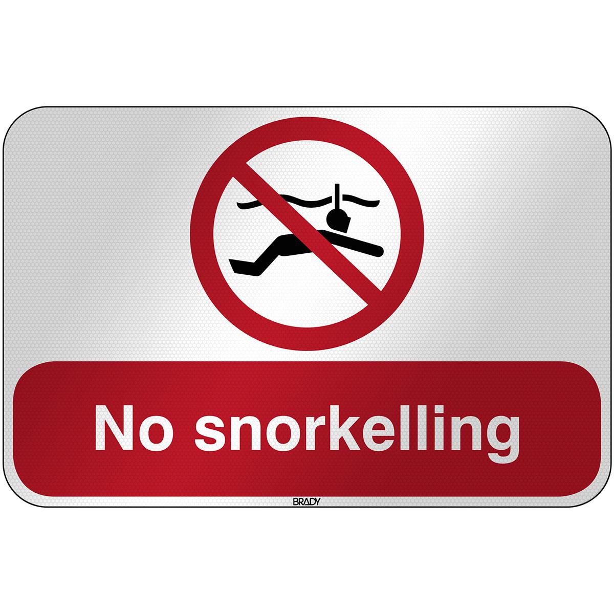 ISO Safety Sign - No 