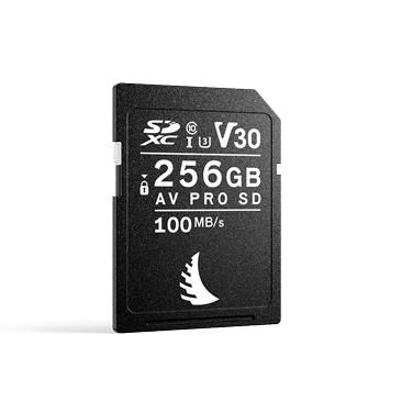 Av Pro Sd V30 256 Gb Sdxc 