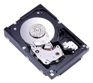 147GB 3.5TH SAS 15K RPM HDD