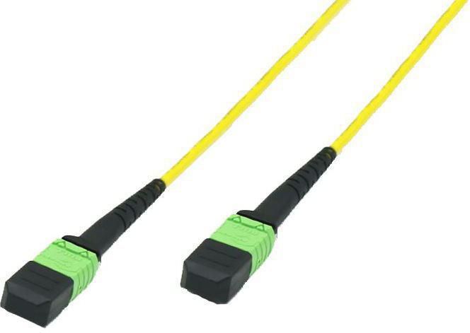 Fiber Patch Cable - Fibre MTP 
