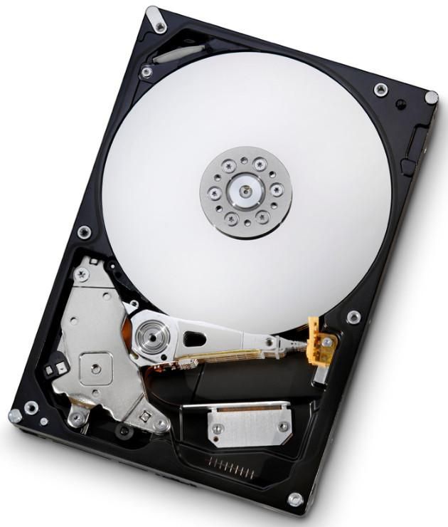 250GB Hard Drive (7K1000.B