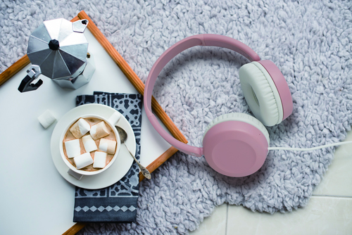 JVC Powerful Sound Wired On Ear Pink