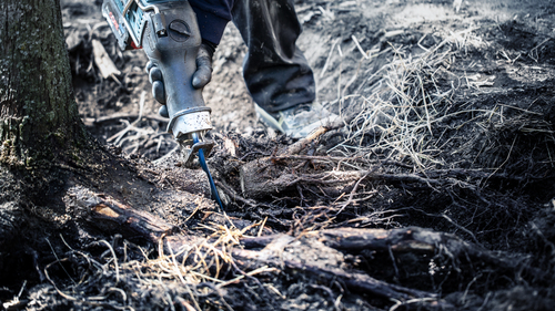 Bosch Expert 2 608 900 410 jigsaw/scroll saw/reciprocating saw blade Carbide 1 pc(s)