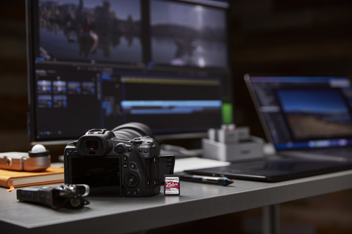 Kingston Technology 256GB Canvas React Plus SDXC UHS-II 300R/260W U3 V90 for Full HD/4K/8K